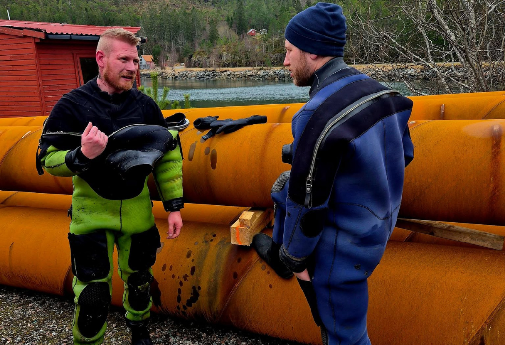 Inspeksjon og kartlegging