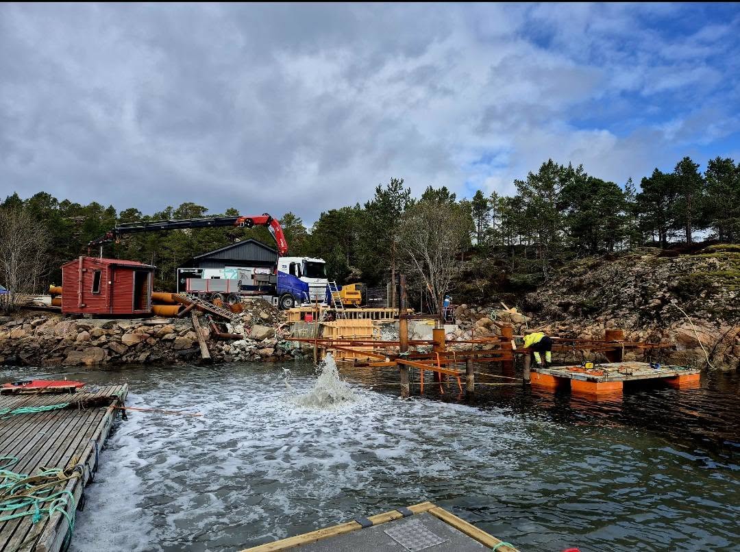 anlegg, inspeksjon, subsea
