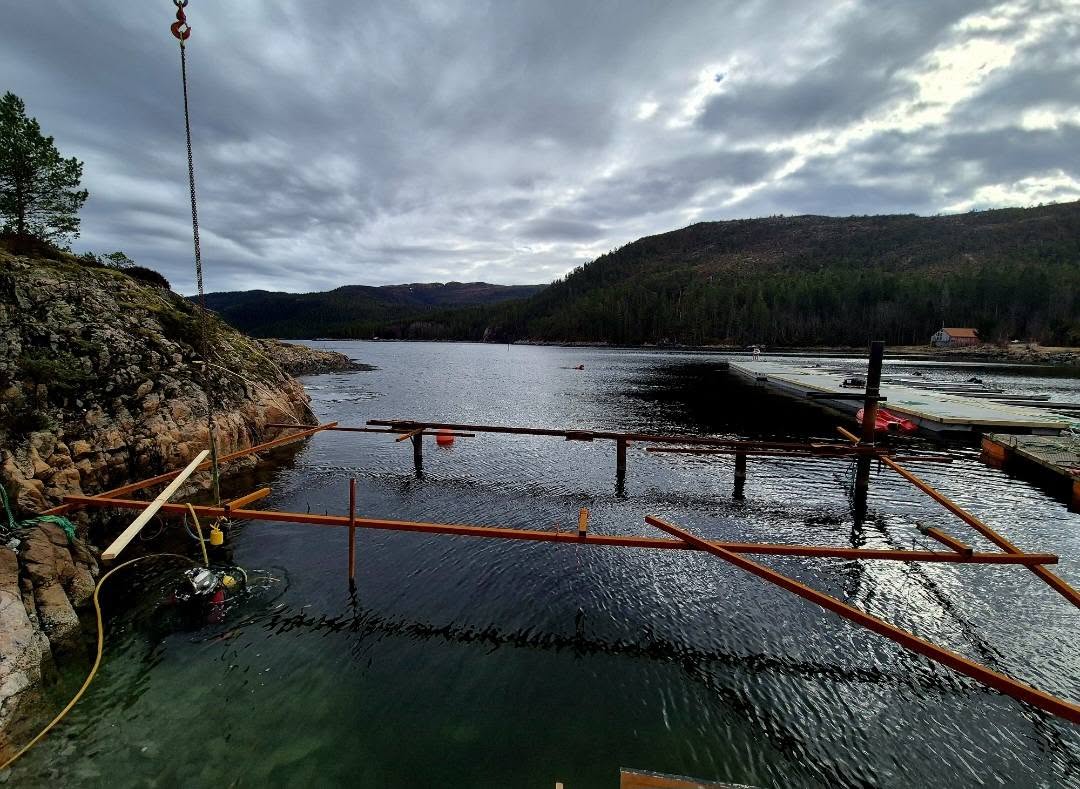 anlegg, inspeksjon, subsea